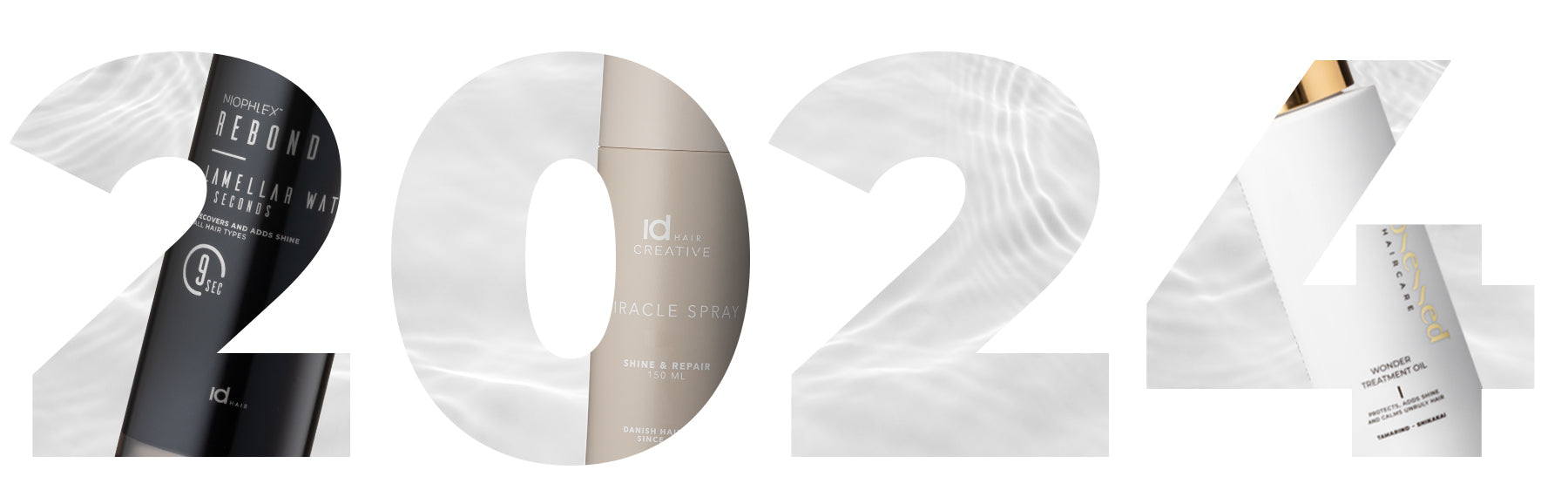 Grafisk årstal med motiv der beskriver begivenhederne for året: 2024