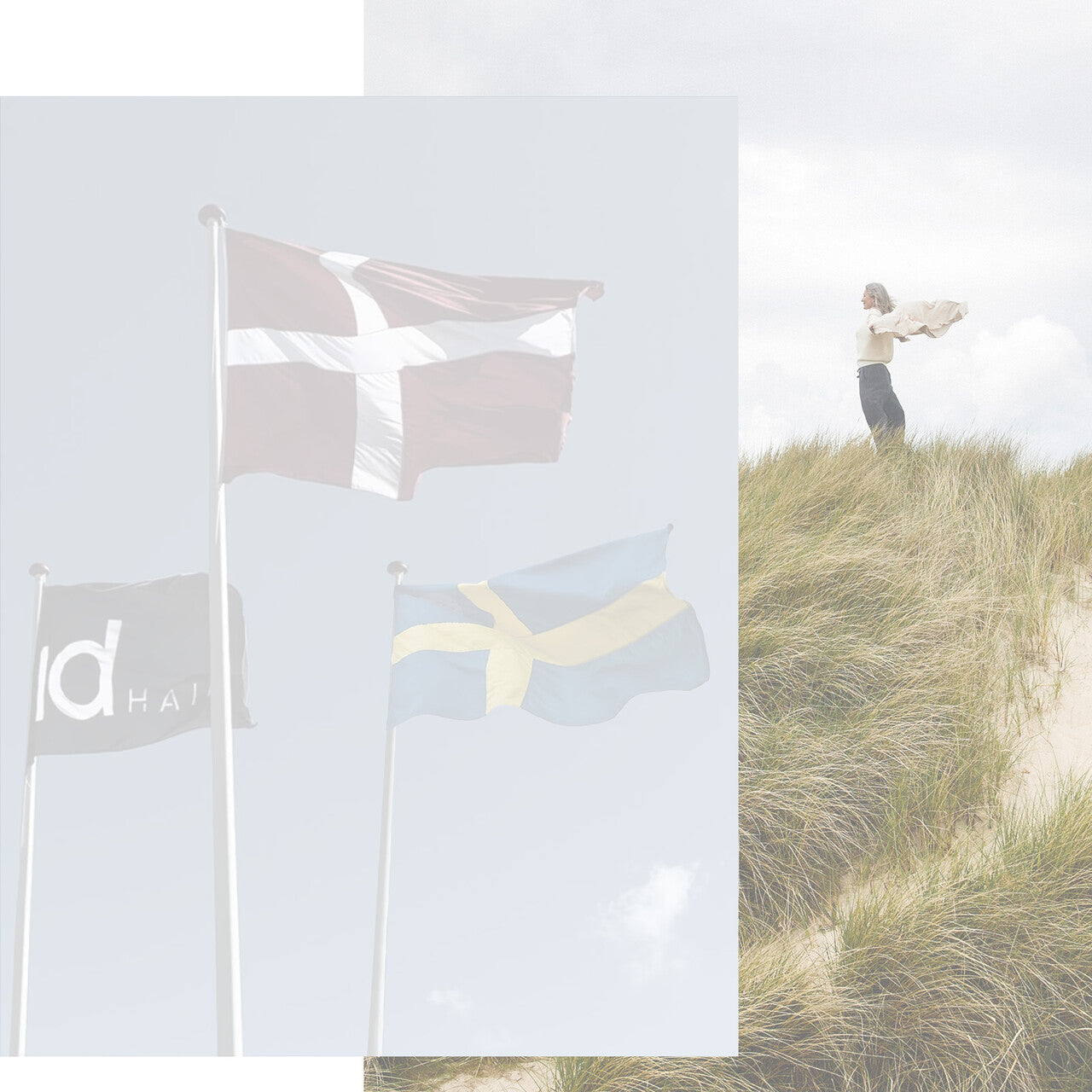 Tre hejste flag ved blå himmel: Dannebrog, IdHAIR og det svenske flag. Til højre i billedet ses en moden kvinde med gråt hår, som befinder sig på en vindfyldt kyst. 